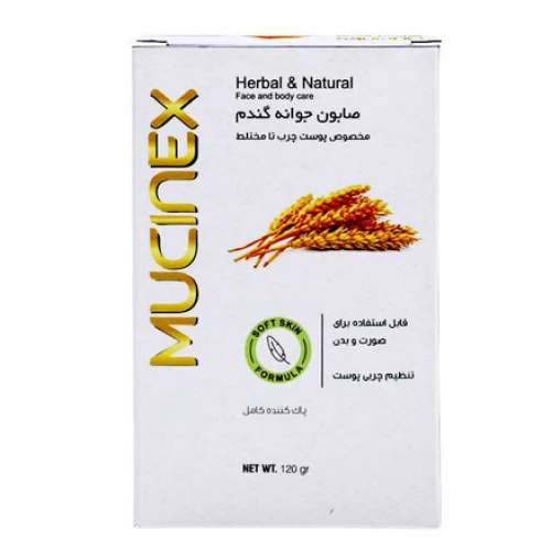 صابون شستشو ماسینکس مدل wheat germ وزن 120 گرم
