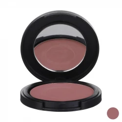 خرید رژ گونه لاکچری فیس مدل Matte Effect No.208