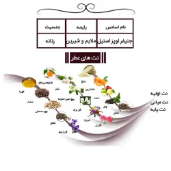 ادوپرفیوم لالیک بلک مردانه | رایحه گرم و تلخ