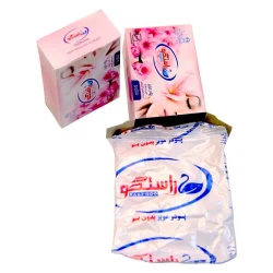پودر موبر راستگو | 50 گرمی | 4 عددی