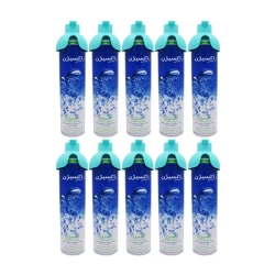  کپسول اکسیژن فومن شیمی کد 8L بسته 10 عددی