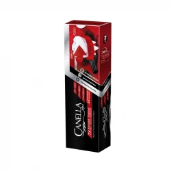 خمیردندان کانلامکس مدل ذغالی وزن 100 گرم