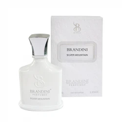 عطر جیبی  برندینی مدل Silver Mountain حجم 33 میلی لیتر