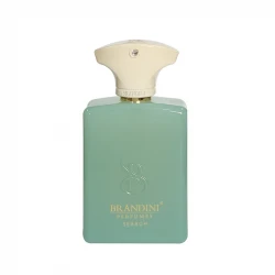 عطر جیبی برندینی مدل Search حجم 33 میلی لیتر