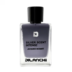 ادو پرفیوم مردانه دیلانچی مدل Silver Scent با رایحه گرم حجم 100 میلی لیتر