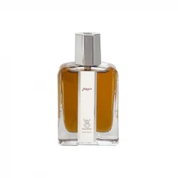 عطر جیبی مردانه برندینی مدل Yatagan حجم 33 میلی لیتر