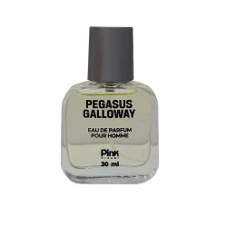 عطر جیبی مردانه پینک ویژوال مدل Pegasus Galloway حجم 30 میلی لیتر 