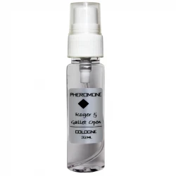 عطر جیبی مردانه فرومن مدل اوپن حجم 32 میلی لیتر