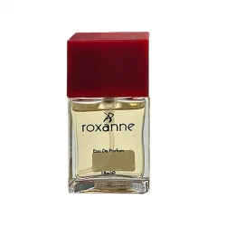 عطر جیبی رکسان مدل M65 با رایحه خنک حجم 18 میلی‌ لیتر