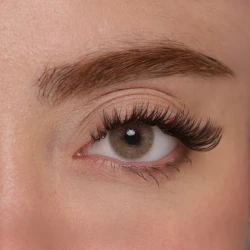لنز چشم هرا گریس تمیم کانتکت لنز مدل LUMINO HAZEL کد 29 رنگ عسلی خاکی روشن بدون دور