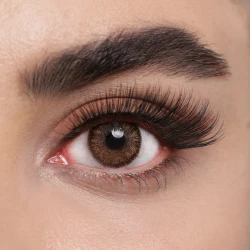 لنز چشم رویال ویژن مدل LUMIRERE HAZEL کد 11 رنگ طوسی عسلی دوردار