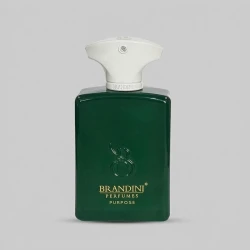 عطر جیبی زنانه و مردانه برندینی مدل Purpose حجم 33 میلی لیتر